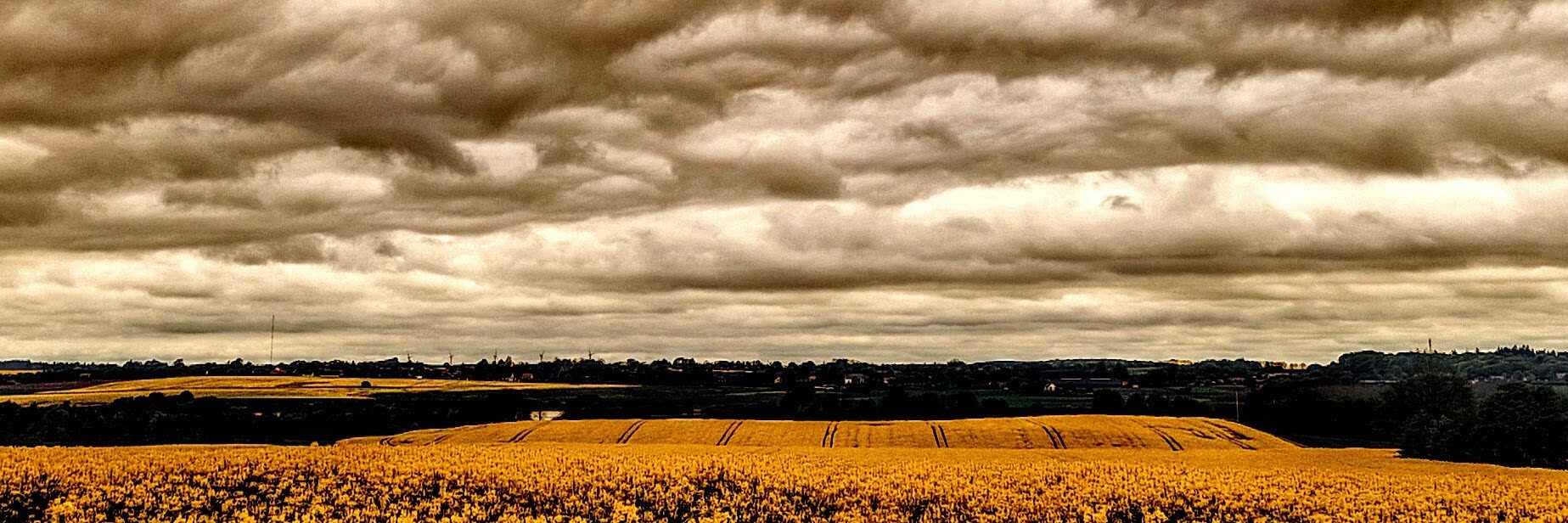 Vold i intime relationer